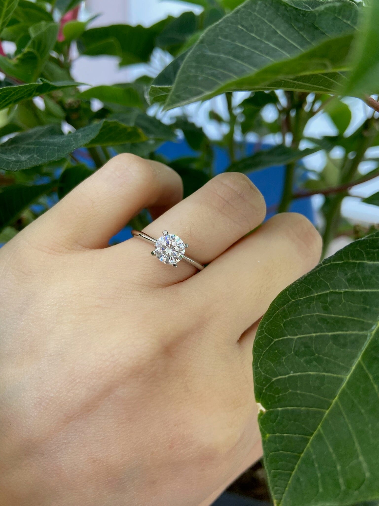 Anillo Solitario Pamplona Anillo Plata 