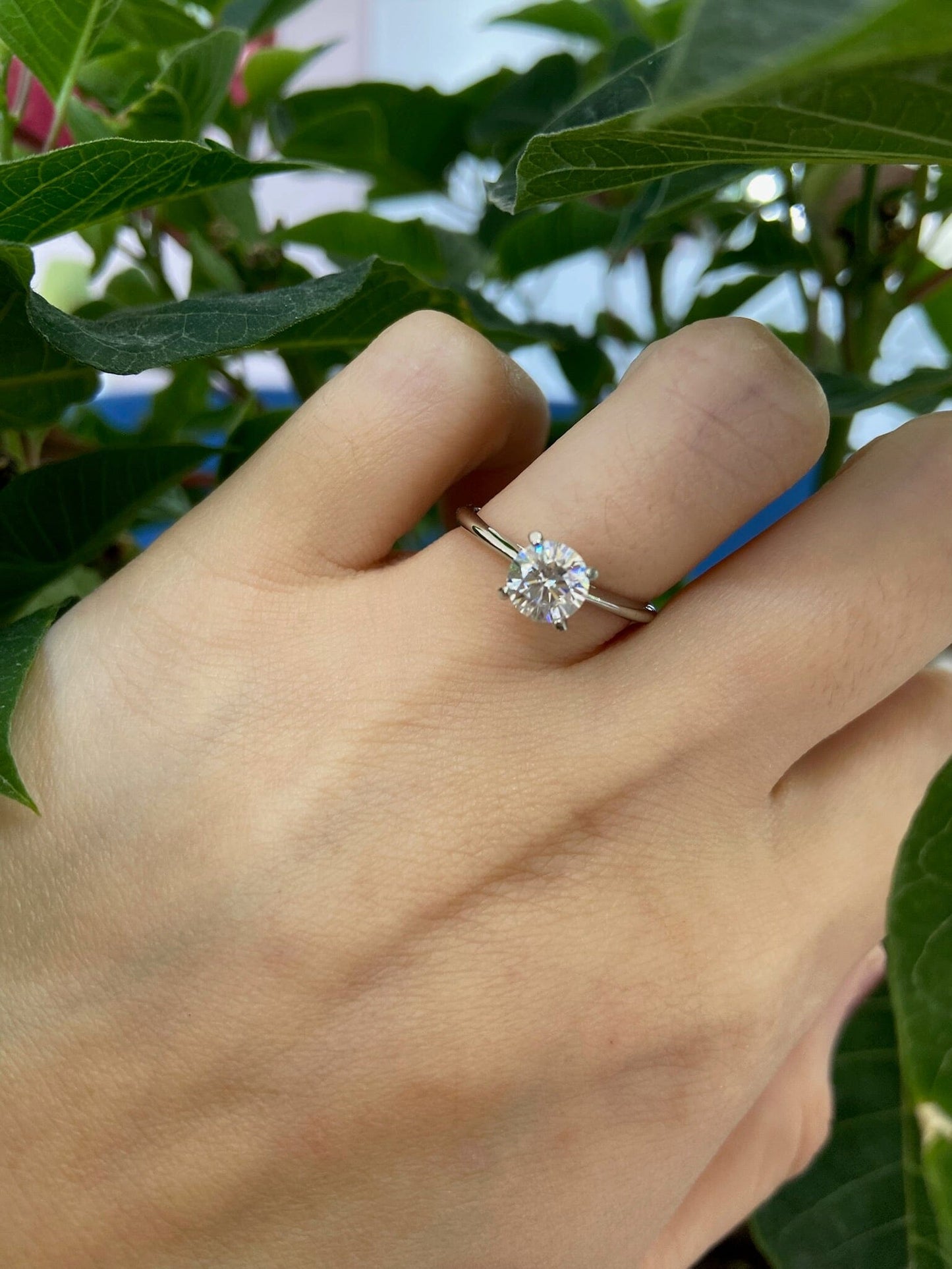 Anillo Solitario Pamplona 6 Anillo Plata 