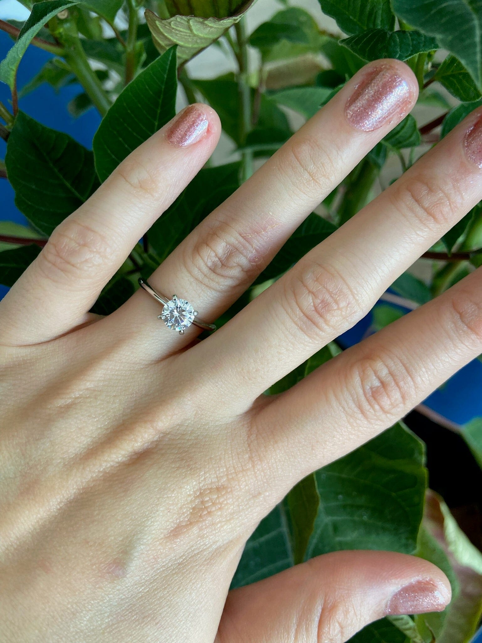 Anillo Solitario Pamplona 6 Anillo Plata 